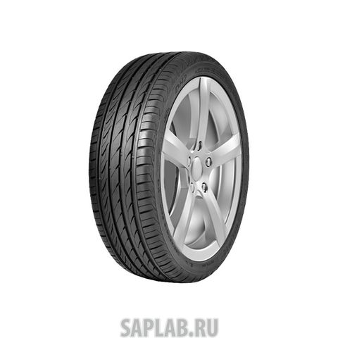 Купить DELINTE 6901532201924 Шины Delinte DH2 195/65 R15 91H