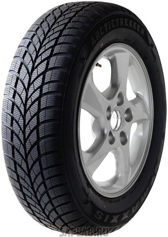 Купить MAXXIS TP3802260G Шины Maxxis WP-05 Arctic Trekker 195/50 R15 86H TP3802260G