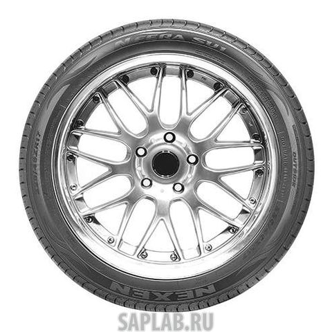 Купить NEXEN TT008555 Шины Nexen Nfera SU1 195/55 R16 91V XL (TT008555)